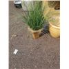 Image 2 : 3 PLANTERS AND ARTIFICIAL PLANT
