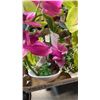 Image 2 : 5 ARTIFICIAL FLOWERS