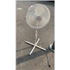 Image 2 : 2 PELONIS FLOOR FANS