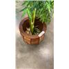 Image 2 : ARTIFICIAL TREE IN PLANTER