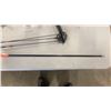 Image 3 : BARNETT TOMCAT COMPOUND BOW WITH NEW BEAR ARROWS