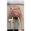 Image 1 : CAST WALRUS HEAD