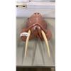 Image 2 : CAST WALRUS HEAD