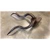 Image 2 : 31" GURU ANIMAL HORNS
