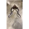 Image 3 : 31" GURU ANIMAL HORNS