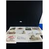 Image 1 : Lot of 12 16" x 12" Colourful Prints