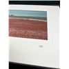 Image 2 : "Red Barns on Horizon" Original Alberta Landscape Photographs by Brian Van Sickle