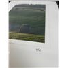 Image 2 : "Prairie Wheels" Original Alberta Landscape Photographs by Brian Van Sickle