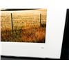Image 2 : "Prairie Fence Line" Original Alberta Landscape Photographs by Brian Van Sickle