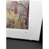 Image 2 : "Charred Pines" Original Alberta Landscape Photographs by Brian Van Sickle