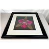 Image 1 : Orchid Picture