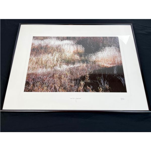 "Coulee Grasses" Original Alberta Landscape Photographs by Brian Van Sickle