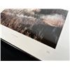 Image 2 : "Coulee Grasses" Original Alberta Landscape Photographs by Brian Van Sickle