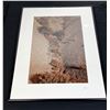 Image 1 : "Badlands Bush" Original Alberta Landscape Photographs by Brian Van Sickle