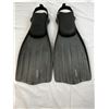 Image 1 : Fins