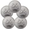 Image 1 : Lot of (5) Silver Canadian Maple Leaf's