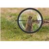 Image 1 : South Dakota Prairie Dog Hunt for Two Hunters