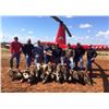 Image 1 : HELICOPTER HOG HUNT