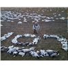 Image 1 : CONSERVATION SNOW GOOSE HUNT for 2 HUNTERS