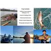 Image 1 : NORTHERN CALIFORNIA DRIFT BOAT FLY FISHING TROUT for 2