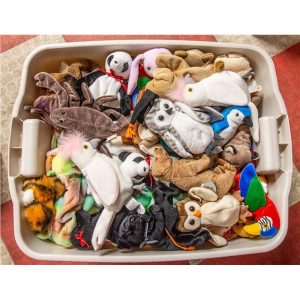 BIN OF COLLECTIBLE TY BEANIE BABIES