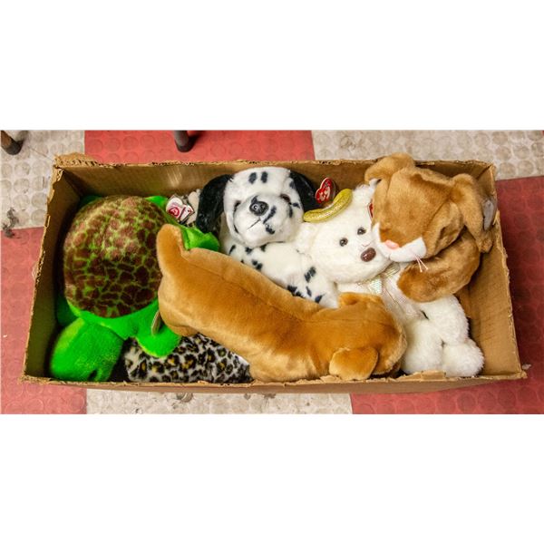 BOX OF TY BEANIE BABIES