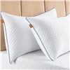 Image 1 : PAIR OF NEW MAXXZZZ BAMBOO PILLOWS