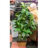 Image 1 : LARGE 4FT FAUX PLANT IN RATTAN POT