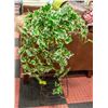 Image 1 : 38 IN PLANT STAND + ARTIFICIAL PLANT