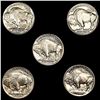 Image 2 : (5) Misc Buffalo Nickels UNCIRCULATED