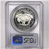 Image 2 : 1999-P Yellowstone Silver Dollar PCGS-PR69 DCAM