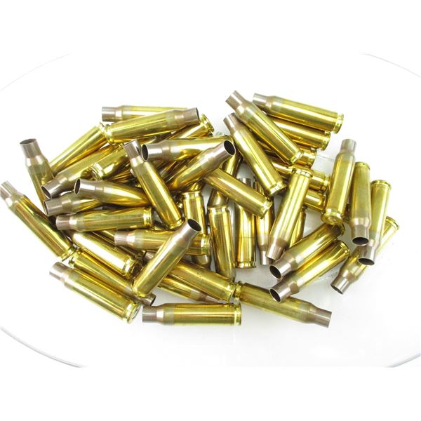 PRIMED .308 WIN CASES LOT