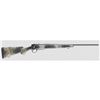Image 1 : BGA B-14 HUNT WILDERNESS 308WIN 22" GREY SYN