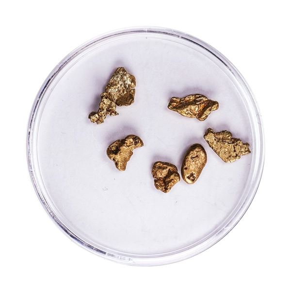 Lot of Gold Nuggets 2.62 Grams Total Weight
