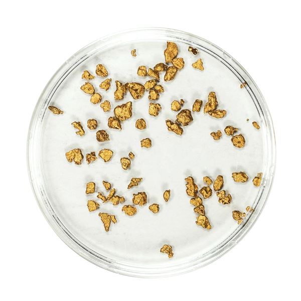 Lot of Gold Nuggets 1.53 Grams Total Weight