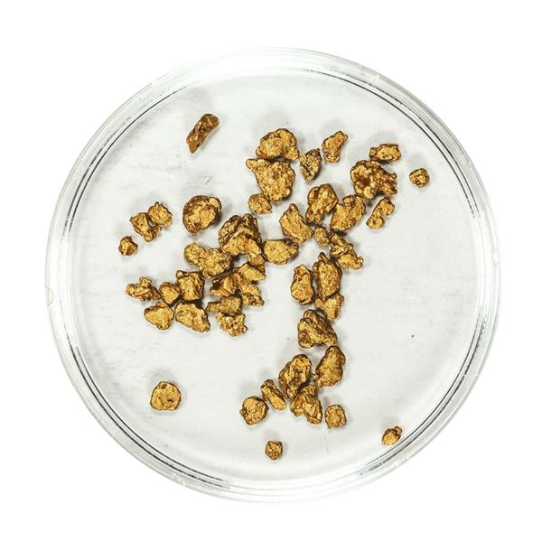 Lot of Gold Nuggets 2.96 Grams Total Weight