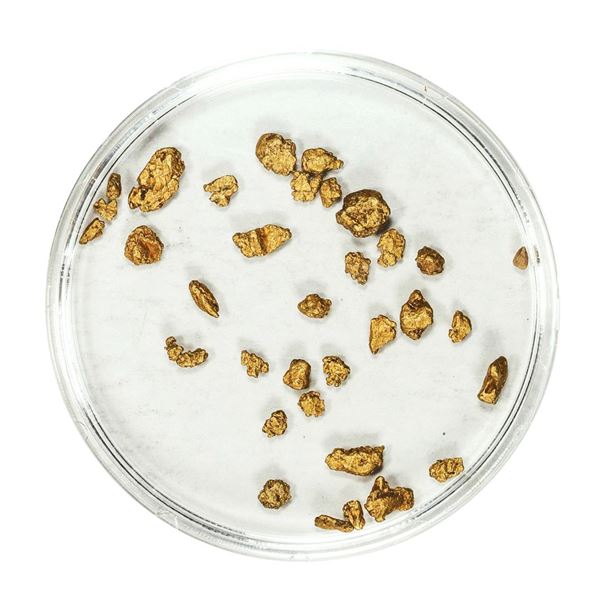 Lot of Gold Nuggets 1.97 Grams Total Weight