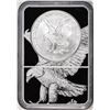 Image 2 : 2021-W Type 2 $1 Burnished American Silver Eagle Coin NGC MS70