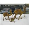 Image 1 : 3 WOODEN CAMELS