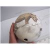 Image 3 : PAINTED OSTRICH EGG