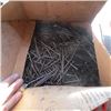 Image 2 : BOX OF 3 1/2" COMMON NAILS