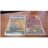 Image 1 : 2 SMALL PLASTIC COATED PICTURES
