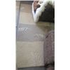 Image 1 : AREA CARPET 5'5X7'9