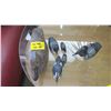 Image 1 : COLLECTION OF 6 BIRDS, LOONS AND DUCKS