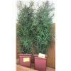 Image 1 : 2 ARTIFICIAL PLANTS