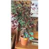 Image 1 : ARTIFICIAL PLANT