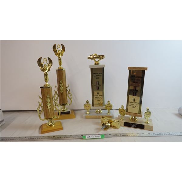 Trophies-some not put together