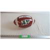 Saskatchewan Roughriders Metal Football Piggy Bank