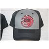 Image 3 : (2) Game of Thrones Hats