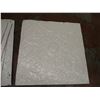 Image 2 : 6X THE BID PRICE - Ceiling tiles 25x25